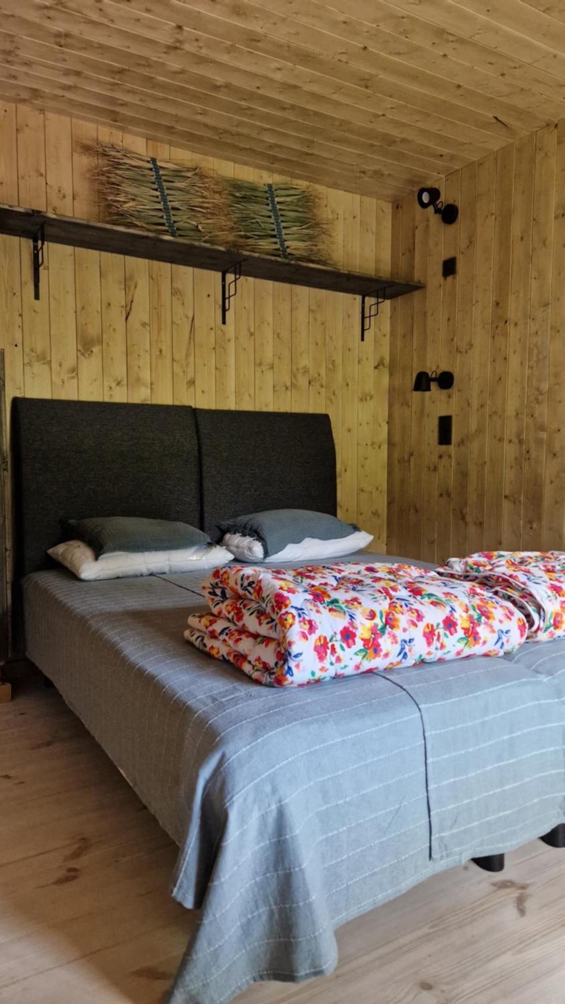Kaimo Turizmo Sodyba Satavi Kinty Zewnętrze zdjęcie